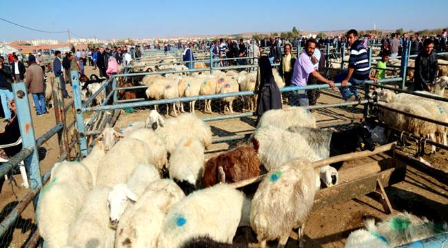 AKSARAY DA BUYILKİ KURBAN KESİM YERLERİ BELLİ OLDU