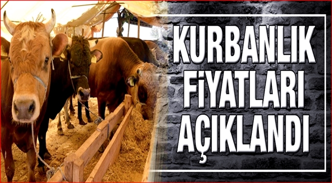 İŞTE KÜÇÜK ve BÜYÜKBAŞ KURBANLIK FİYATLARI