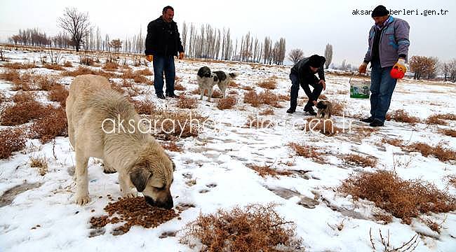 AKSARAY DA SOKAK HAYVANLARI UNUTULMUYOR