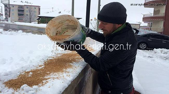 AKSARAY'DA KIŞ GÜNÜNDE DOĞADAKİ KUŞLAR UNUTULMADI