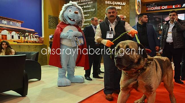 EMITT’İN GÖZDESİ YİNE MALAKLI OLDU