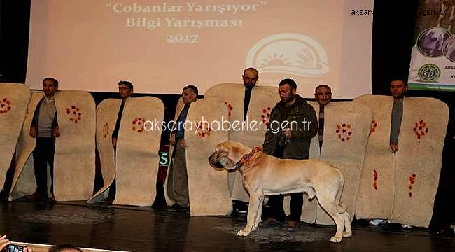 TÜRKİYE DE TEK OLAN YARIŞMA AKSARAY DA YAPILDI