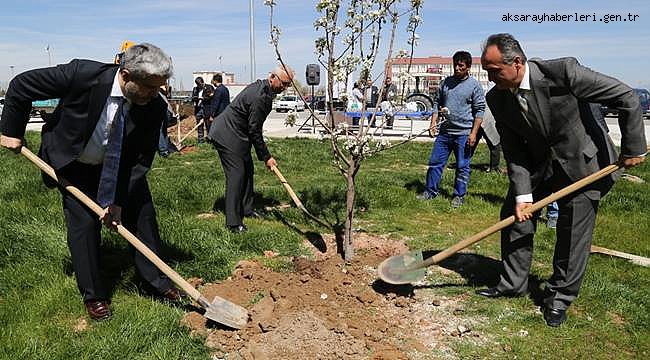 AKSARAY'DA 15 TEMMUZ ŞEHİTLERİ ANISINA AĞAÇLANDIRMA ÇALIŞMASI 