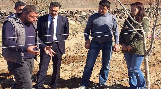 AKSARAY'DA YÜKSEK SİSTEM BAĞCILIK TEŞVİK EDİLİYOR