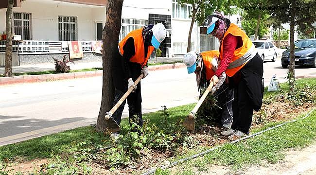 AKSARAY ATATÜRK BULVARINDAKİ ORTA REFÜJLERDE ÇALIŞMA
