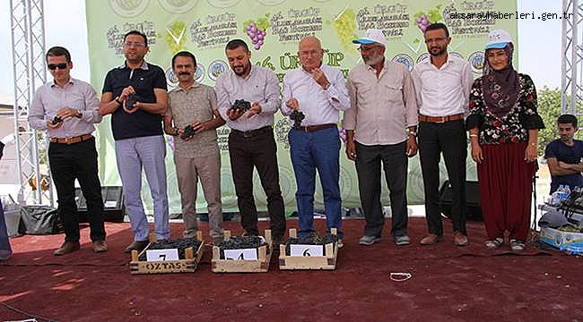 NEVŞEHİR'DE BAĞ BOZUMU FESTİVALİ DÜZENLENDİ