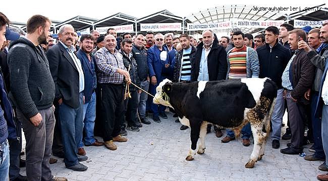 AKSARAY HAYVAN PAZARINDA ÜRETİCİ VE STK'LAR İTHAL ETE HAYIR DEDİLER