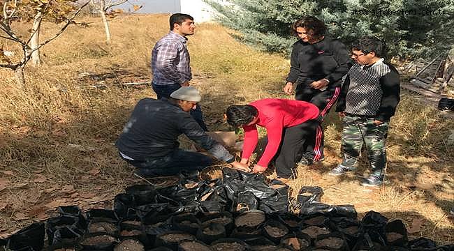 AKSARAY&#039;DA ZİHİNSEL ENGELLİ ÇOCUKLAR AĞAÇ DİKTİ