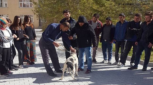 ESKİL MESLEK YÜKSEK OKULU ÖĞRENCİLERİ SAHAYA İNDİ