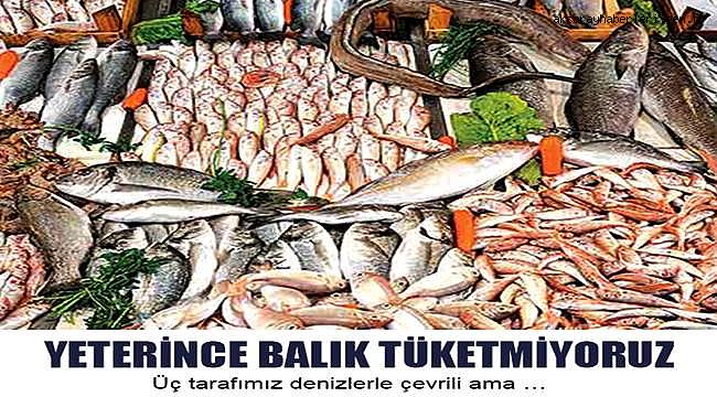 ÜLKEMİZDE KİŞİ BAŞI BALIK TÜKETİMİ 7,5-8 KİLO...