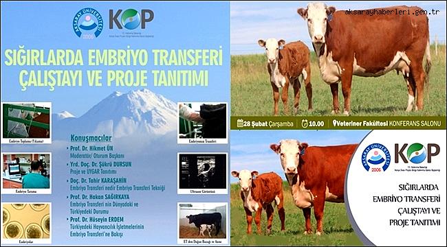 AKSARAY ÜNİVERSİTESİ’NDE EMBRİYO TRANSFERİ ÇALIŞTAYI DÜZENLENECEK