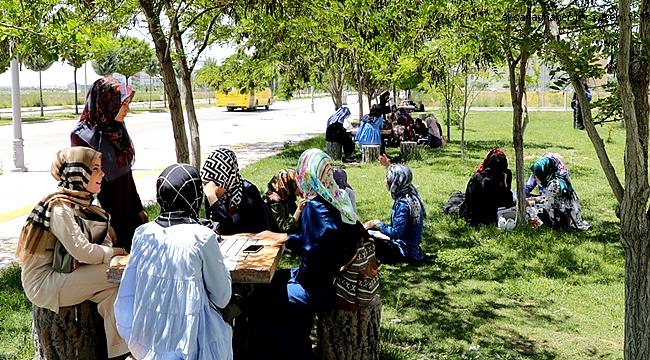 AKSARAY ÜNİVERSİTESİ KAMPÜS ALANI GİDEREK YEŞİLLENİYOR