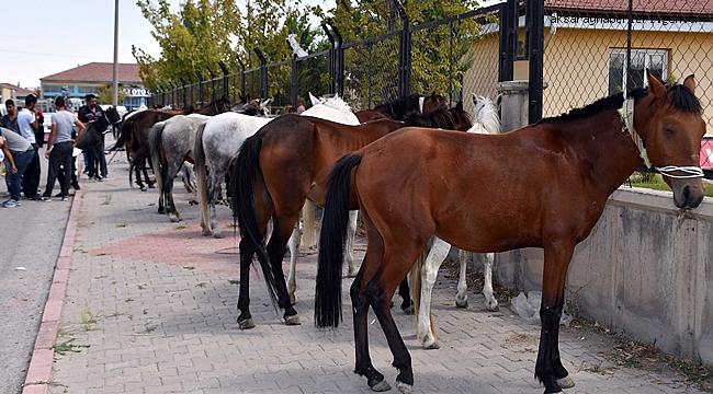 AKSARAY BELEDİYESİ TRAFİKTE TEHLİKE ARZ EDEN AT ARABALARINI TOPLADI