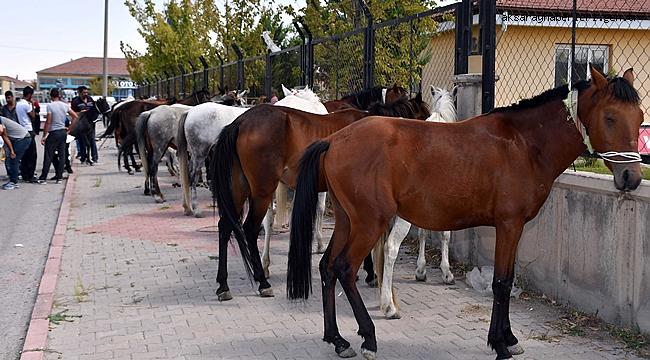 AKSARAY BELEDİYESİ TRAFİKTE TEHLİKE ARZ EDEN AT ARABALARINI TOPLADI 