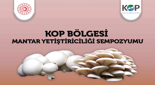 "KOP BÖLGESİ MANTAR YETİŞTİRİCİLİĞİ SEMPOZYUMU" DÜZENLENECEK 