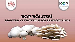 "KOP BÖLGESİ MANTAR YETİŞTİRİCİLİĞİ SEMPOZYUMU" DÜZENLENECEK 