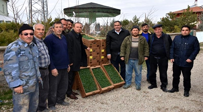 AKSARAY GÜCÜNKAYA KÖYÜNDEKİ SERALARDA FİDELER YETİŞECEK