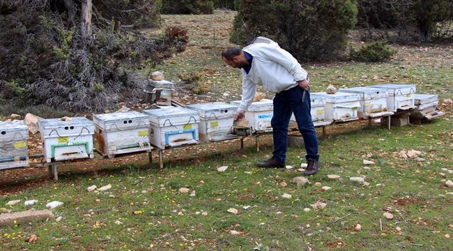 EN ÇOK KRİTERE SAHİP DÜNYANIN İLK ARICILIK GEO-PORTAL SİSTEMİ KURULACAK