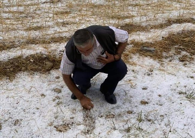 AKSARAY'DA ŞİDDETLİ DOLU VE YAĞMUR TARIM ARAZİLERİNDE BÜYÜK ZARARA OLUŞTURDU