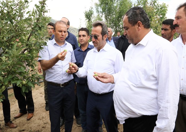 VALİ ALİ MANTI AKSARAY'DA DOLU ZARARI GÖREN ALANLARDA İNCELEMELERDE BULUNDU