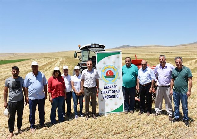 AKSARAY'DA MISIRA DOĞRUDAN EKİM MİBZERİNİN DENEMESİ YAPILDI