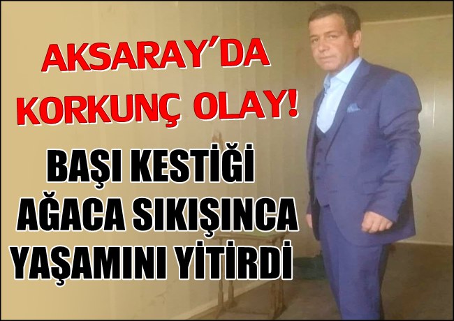 AKSARAY'DA KORKUNÇ OLAY! BAŞI KESTİĞİ AĞACA SIKIŞINCA YAŞAMINI YİTİRDİ