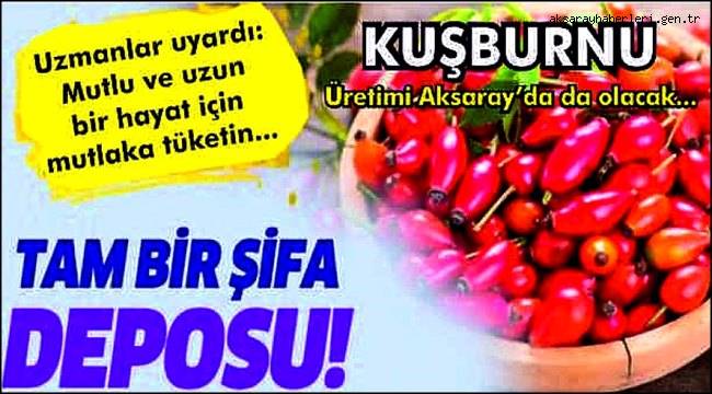 EKİLİRSE AKSARAY'DA KUŞBURNU MARKA OLABİLİR