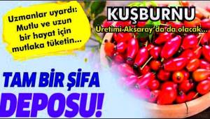 EKİLİRSE AKSARAY'DA KUŞBURNU MARKA OLABİLİR