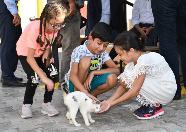 AKSARAY BELEDİYESİ SOKAK HAYVANLARINA ŞEFKAT ELİ UZATIYOR