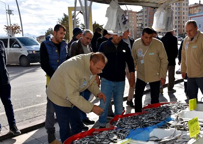 AKSARAY'DA SATIŞ YAPAN BALIKÇILAR DENETLENDİ