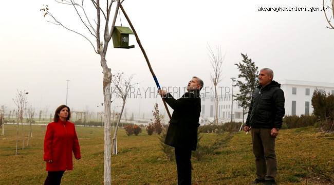 AKSARAY ÜNİVERSİTESİNDEKİ AĞAÇLARA KUŞLAR İÇİN YUVA YERLEŞTİRİLDİ