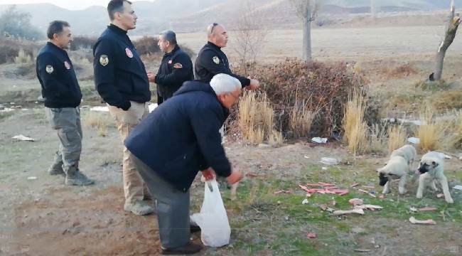 ÖZEL HAREKATÇILAR SOKAK HAYVANLARINA SAHİP ÇIKTILAR