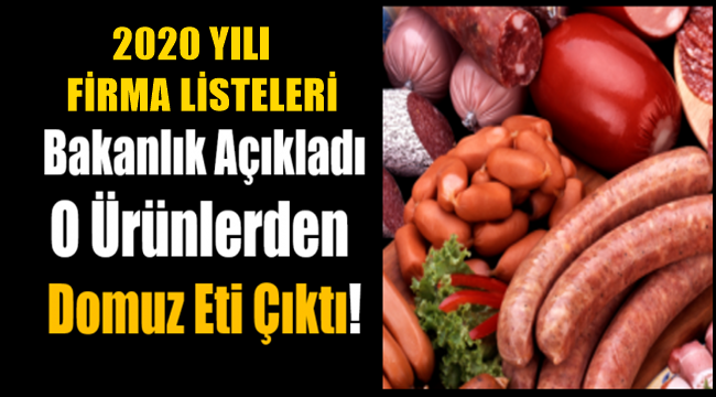 BAKANLIK AÇIKLADI NELER NELER YEDİRİYORLAR, DOMUZ ETİNDEN AT ETİNE KADAR FİRMALARIN HİLELİ ÜRÜNLERİ 2020 YILI LİSTESİ