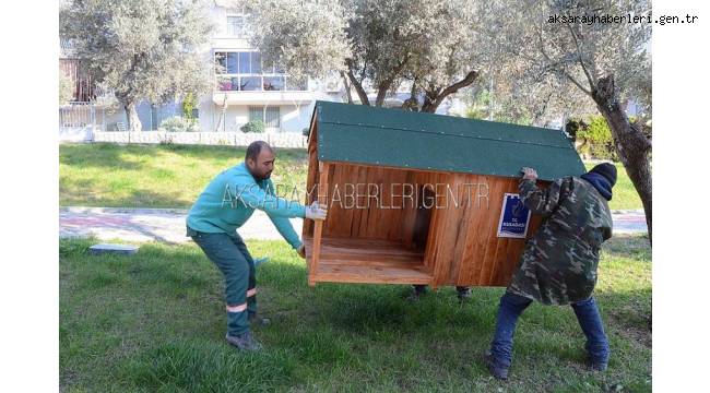 SOKAK HAYVANLARININ SAHİPLENİLMESİ VİCDANLAR RAHATLIYOR 