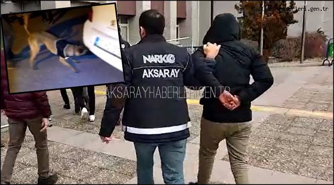 ZEHİR TACİRLERİ AKSARAY'DA NARKOTİK MADDE ARAMA KÖPEĞİ BİXİ DEN KAÇAMADILAR