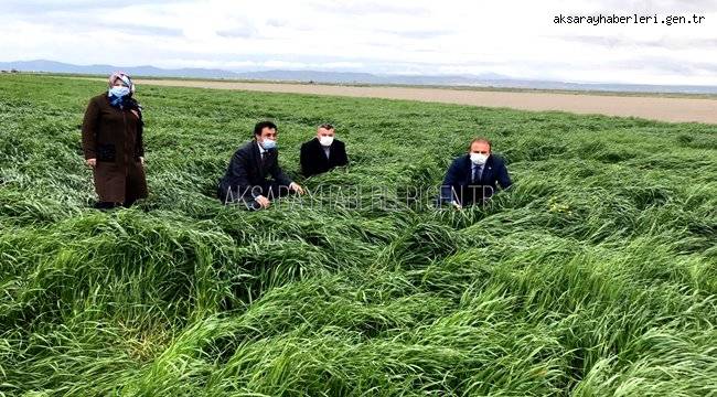 AKSARAY'DA 'SÜTÜNÜZ TATLANSIN GELİRİNİZ KATLANSIN' PROJESİ