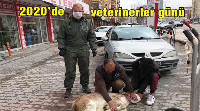 VETERİNERLER ; SAĞLIK SINIFININ ÜVEY EVLATLARIYIZ