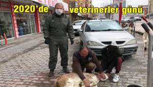 VETERİNERLER ; SAĞLIK SINIFININ ÜVEY EVLATLARIYIZ