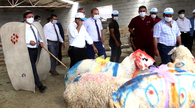AKSARAY 1 MİLYONA YAKLAŞAN KÜÇÜKBAŞ HAYVAN SAYISI İLE ÜRETİMDE 15. SIRADA