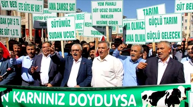 HAYVANCILIKTA İYİYE GİDİYORUZ, 300 BİNİN ÜZERİNDE BÜYÜKBAŞ, 875 BİN KÜÇÜKBAŞ VAR