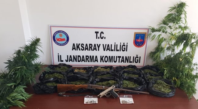 AKSARAY'DA JANDARMADAN KUBAR ESRAR VE KENEVİR OPERASYONU