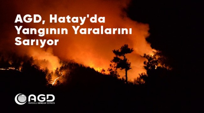 AGD, HATAY'DA YANGININ YARALARINI SARIYOR 