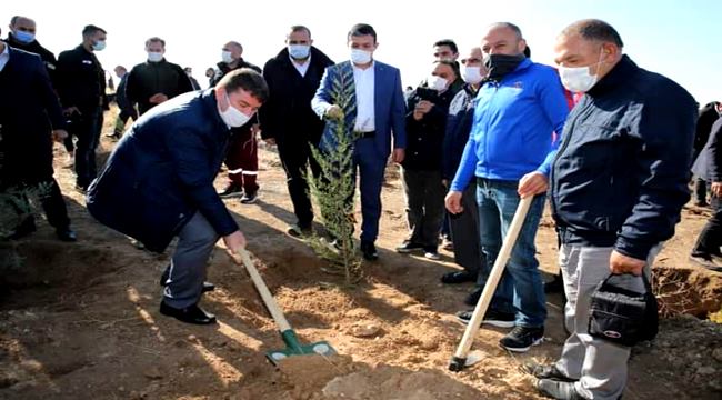 AKSARAY'A ‘’GELECEĞE NEFES OL’’ PROJESİYLE AĞAÇLAR TOPRAKLA BULUŞTU