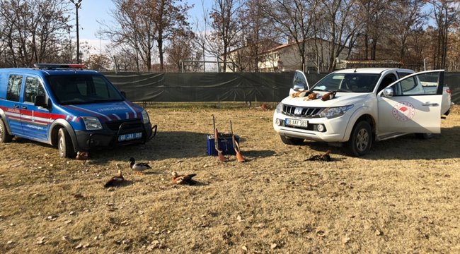 AKSARAY'DA  YASA DIŞI AVCILIK YAPAN 2 KİŞİYE CEZA UYGULANDI