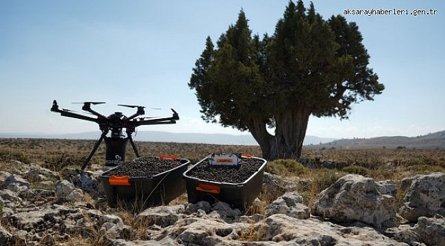 50 bin tohum ağaç olacak