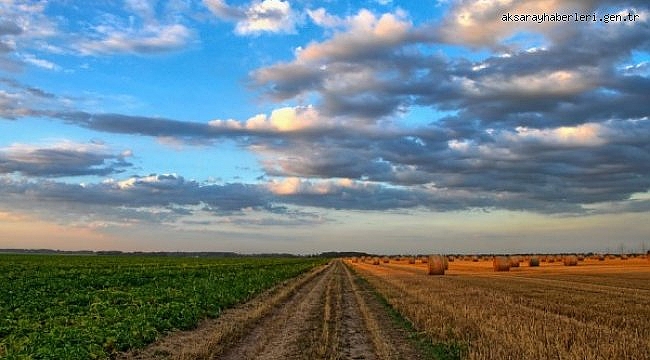 Erken uyarı ile 20 milyon lira çiftçinin cebinde kaldı