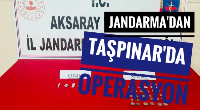 JANDARMADAN TAŞPINAR BELDESİNDE OPERASYON