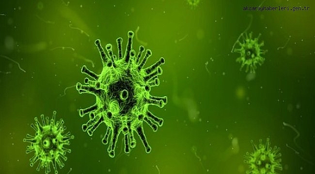 Koronavirüs salgınında vaka sayısı 6 bin 546'ya ulaştı