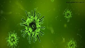 Koronavirüs salgınında vaka sayısı 6 bin 546'ya ulaştı