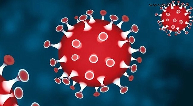 Koronavirüs salgınında vaka sayısı 6 bin 670'e ulaştı (7 Şubat 2021) 